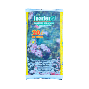 leader
