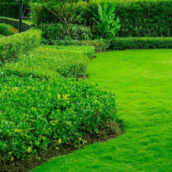 Landscaping Substrates
