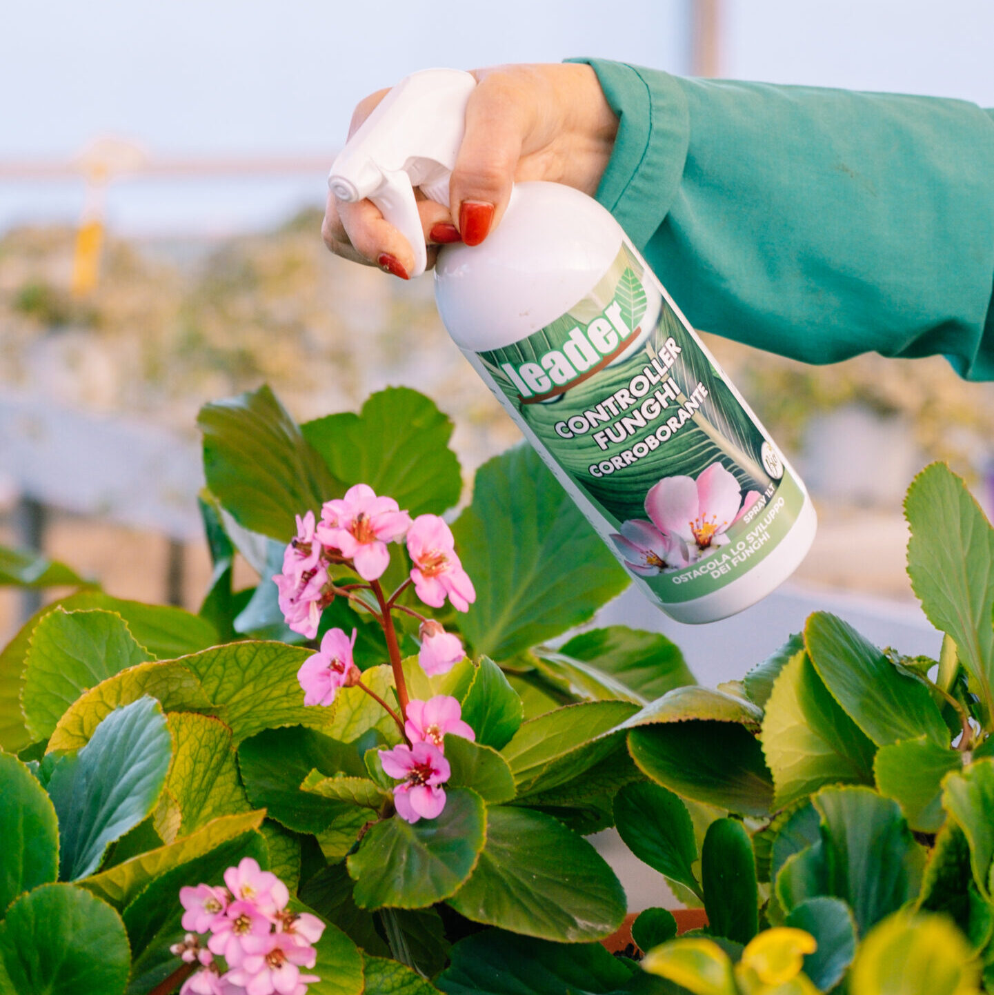 Plant Protection