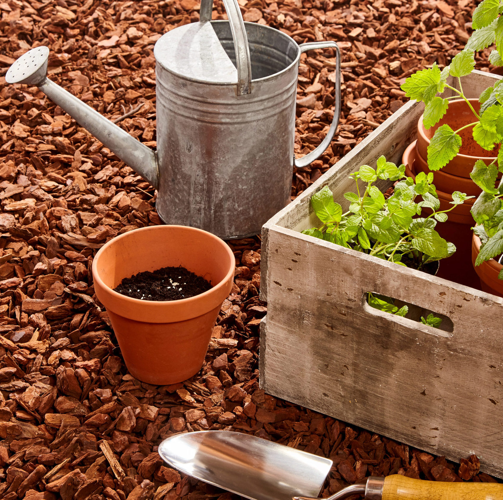 Mulches