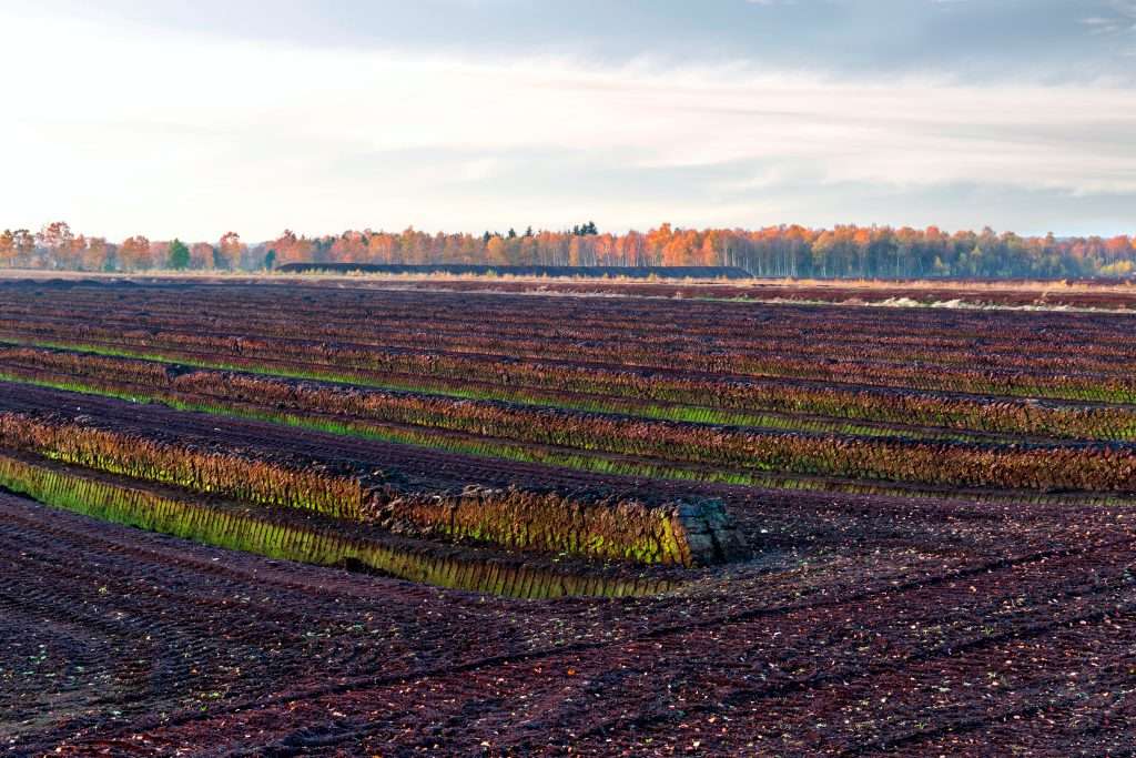 Paesaggio di una torbiera con strisce di estrazione regolata, contesto naturale circostante