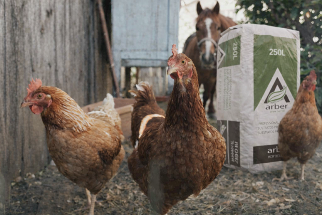 Lettiera naturale Arber Animal Bedding per avicoli e cavalli